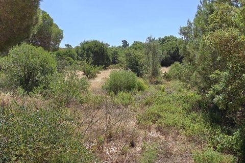 Helårsgrund i Loule, Faro, Loule - € 195.000 | Ref: 843810 - foto 2