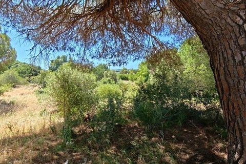 Helårsgrund i Loule, Faro, Loule - € 195.000 | Ref: 843810 - foto 3