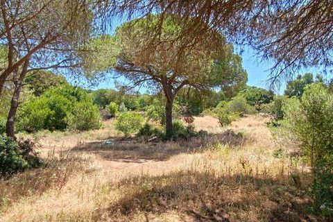 Helårsgrund i Loule, Faro, Loule - € 195.000 | Ref: 843810 - foto 4