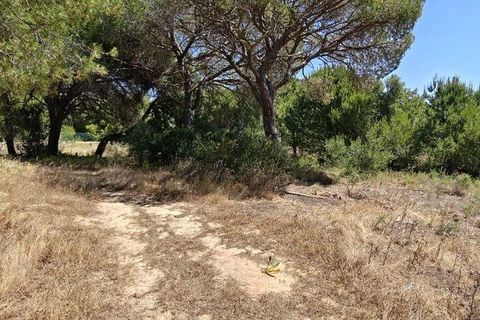 Helårsgrund i Loule, Faro, Loule - € 195.000 | Ref: 843810 - foto 5
