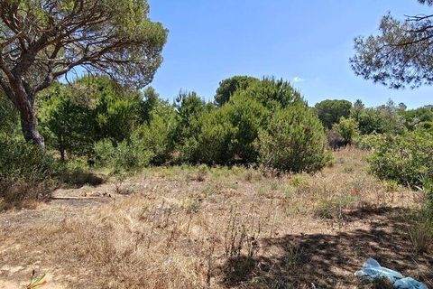Helårsgrund i Loule, Faro, Loule - € 195.000 | Ref: 843810 - foto 6