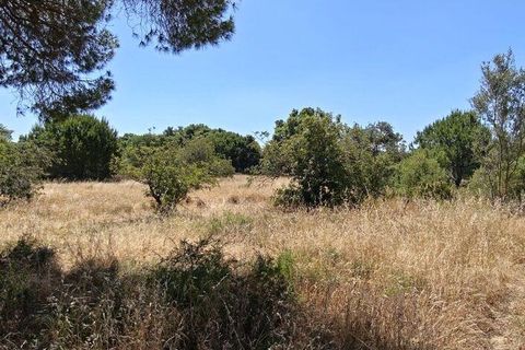 Helårsgrund i Loule, Faro, Loule - € 195.000 | Ref: 843810 - foto 8