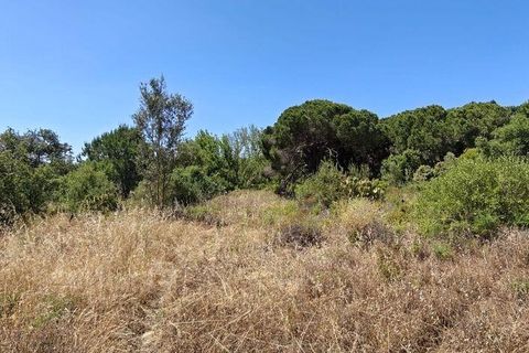 Helårsgrund i Loule, Faro, Loule - € 195.000 | Ref: 843810 - foto 9