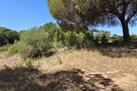 Helårsgrund i Loule, Faro, Loule - € 195.000 | Ref: 843810 - foto 10