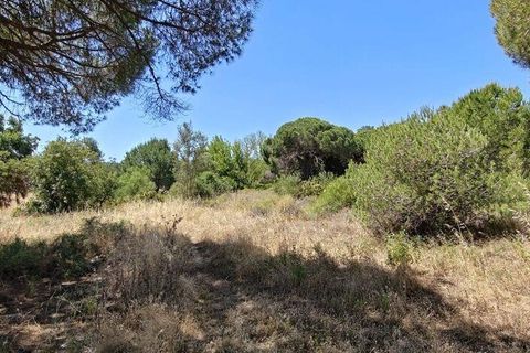 Helårsgrund i Loule, Faro, Loule - € 195.000 | Ref: 843810 - foto 11