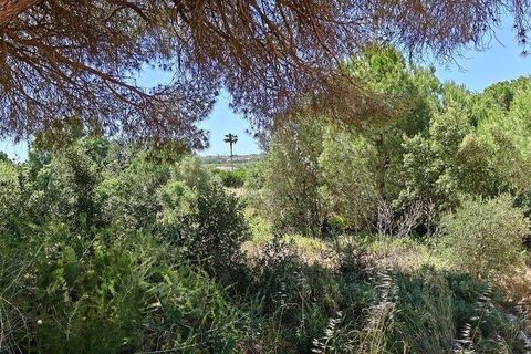 Helårsgrund i Loule, Faro, Loule - € 195.000 | Ref: 843810 - foto 13