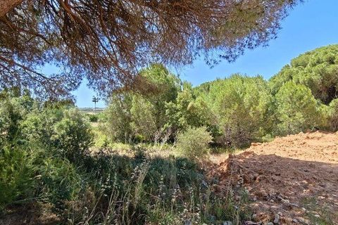 Helårsgrund i Loule, Faro, Loule - € 195.000 | Ref: 843810 - foto 14