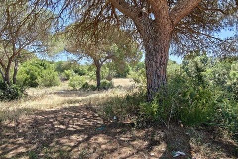 Helårsgrund i Loule, Faro, Loule - € 195.000 | Ref: 843810 - foto 15