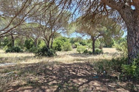 Helårsgrund i Loule, Faro, Loule - € 195.000 | Ref: 843810 - foto 16