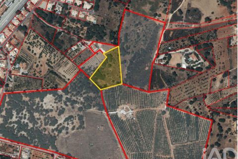 Helårsgrund i Loule, Faro, Loule - € 195.000 | Ref: 843810 - foto 17