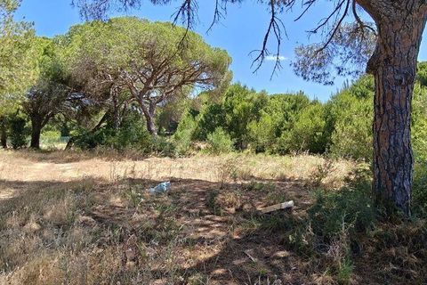 Helårsgrund i Loule, Faro, Loule - € 195.000 | Ref: 843810 - foto 18