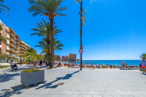 Leilighet i Torrevieja, Alicante, Torrevieja - € 284 900 | Ref: MLSC5872338 - foto 30