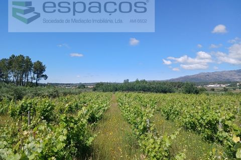 Farm i Fundao, Castelo Branco, Fundao - € 62.000 | Ref: 5547/RR_EM - foto 7