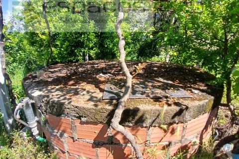 Farm i Fundao, Castelo Branco, Fundao - € 62.000 | Ref: 5547/RR_EM - foto 13