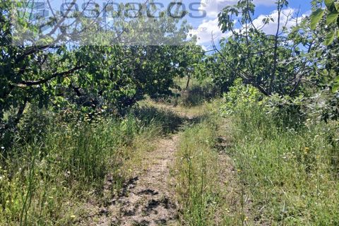 Farm i Fundao, Castelo Branco, Fundao - € 62.000 | Ref: 5547/RR_EM - foto 21