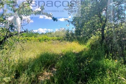 Farm i Fundao, Castelo Branco, Fundao - € 62.000 | Ref: 5547/RR_EM - foto 30