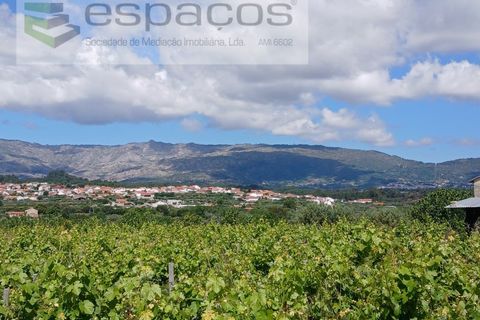 Farm i Fundao, Castelo Branco, Fundao - € 62.000 | Ref: 5547/RR_EM - foto 34