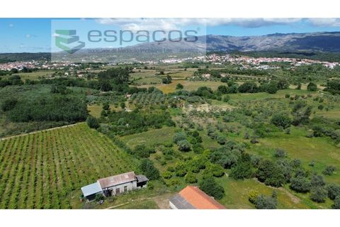 Farm i Fundao, Castelo Branco, Fundao - € 62.000 | Ref: 5547/RR_EM - foto 35