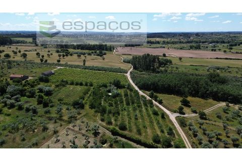 Farm i Fundao, Castelo Branco, Fundao - € 62.000 | Ref: 5547/RR_EM - foto 37