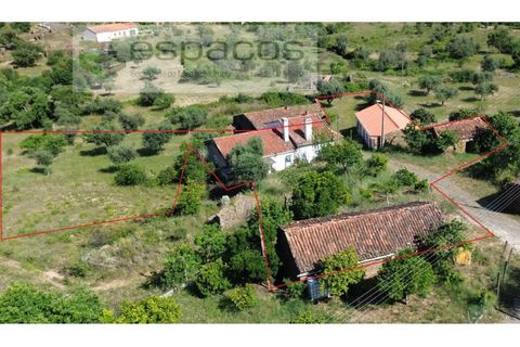 Villa i Castelo Branco, Castelo Branco, Castelo Branco - € 199.000 | Ref: 5712/FA - foto 4