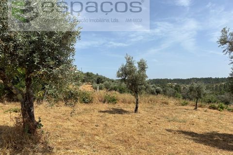 Villa i Castelo Branco, Castelo Branco, Castelo Branco - € 199.000 | Ref: 5712/FA - foto 25