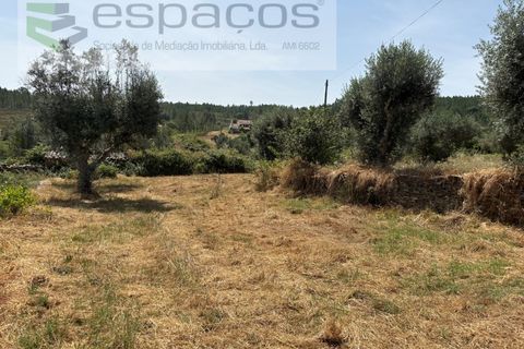 Villa i Castelo Branco, Castelo Branco, Castelo Branco - € 199.000 | Ref: 5712/FA - foto 27