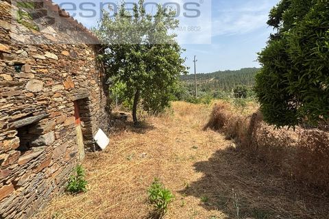 Villa i Castelo Branco, Castelo Branco, Castelo Branco - € 199.000 | Ref: 5712/FA - foto 29
