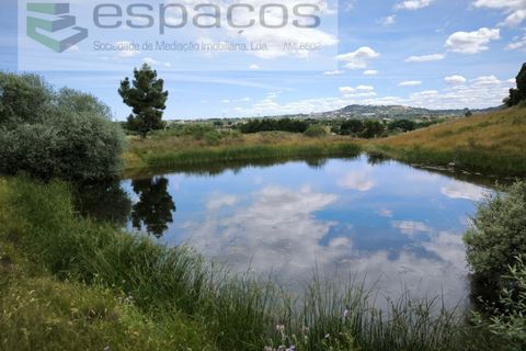 Helårsgrund i Castelo Branco, Castelo Branco, Castelo Branco - € 75.000 | Ref: 5557/EG - foto 1