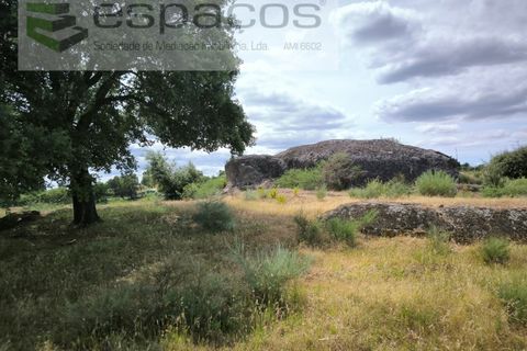 Helårsgrund i Castelo Branco, Castelo Branco, Castelo Branco - € 75.000 | Ref: 5557/EG - foto 2
