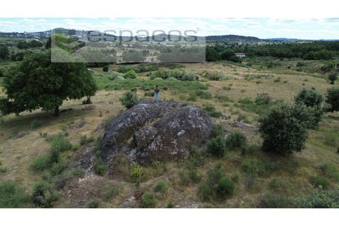 Helårsgrund i Castelo Branco, Castelo Branco, Castelo Branco - € 75.000 | Ref: 5557/EG - foto 3
