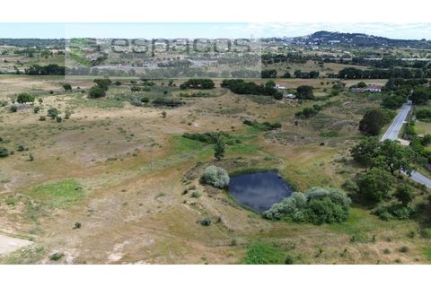 Helårsgrund i Castelo Branco, Castelo Branco, Castelo Branco - € 75.000 | Ref: 5557/EG - foto 5