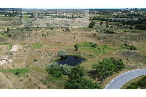 Helårsgrund i Castelo Branco, Castelo Branco, Castelo Branco - € 75.000 | Ref: 5557/EG - foto 6