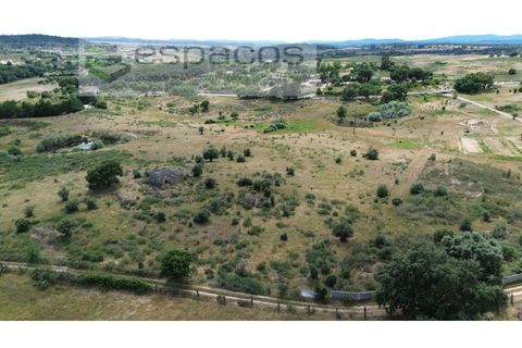 Helårsgrund i Castelo Branco, Castelo Branco, Castelo Branco - € 75.000 | Ref: 5557/EG - foto 7