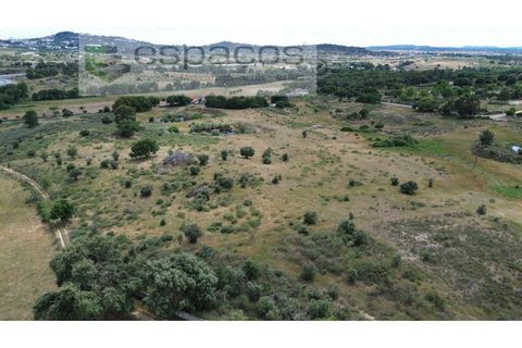 Helårsgrund i Castelo Branco, Castelo Branco, Castelo Branco - € 75.000 | Ref: 5557/EG - foto 8