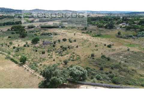Helårsgrund i Castelo Branco, Castelo Branco, Castelo Branco - € 75.000 | Ref: 5557/EG - foto 10