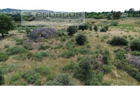 Helårsgrund i Castelo Branco, Castelo Branco, Castelo Branco - € 75.000 | Ref: 5557/EG - foto 11