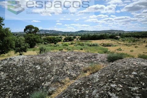 Helårsgrund i Castelo Branco, Castelo Branco, Castelo Branco - € 75.000 | Ref: 5557/EG - foto 12