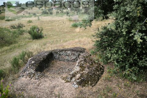 Helårsgrund i Castelo Branco, Castelo Branco, Castelo Branco - € 75.000 | Ref: 5557/EG - foto 14
