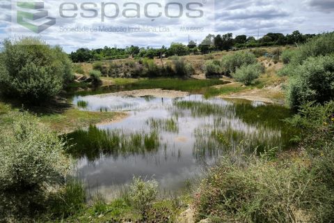 Helårsgrund i Castelo Branco, Castelo Branco, Castelo Branco - € 150.000 | Ref: 5556/EG - foto 1