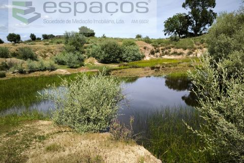 Helårsgrund i Castelo Branco, Castelo Branco, Castelo Branco - € 150.000 | Ref: 5556/EG - foto 2