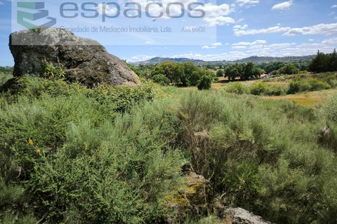 Helårsgrund i Castelo Branco, Castelo Branco, Castelo Branco - € 150.000 | Ref: 5556/EG - foto 3