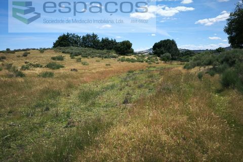 Helårsgrund i Castelo Branco, Castelo Branco, Castelo Branco - € 150.000 | Ref: 5556/EG - foto 4