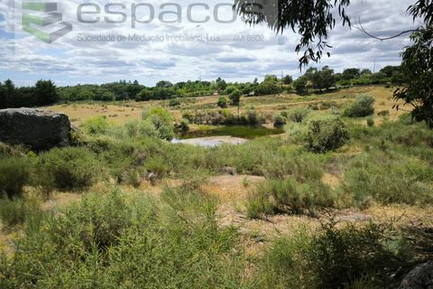 Helårsgrund i Castelo Branco, Castelo Branco, Castelo Branco - € 150.000 | Ref: 5556/EG - foto 5