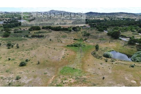 Helårsgrund i Castelo Branco, Castelo Branco, Castelo Branco - € 150.000 | Ref: 5556/EG - foto 6