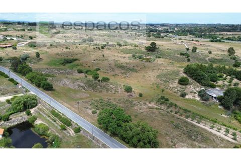 Helårsgrund i Castelo Branco, Castelo Branco, Castelo Branco - € 150.000 | Ref: 5556/EG - foto 8