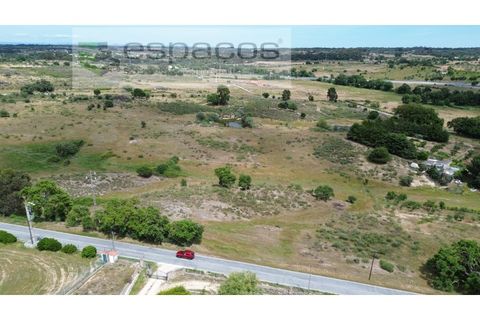 Helårsgrund i Castelo Branco, Castelo Branco, Castelo Branco - € 150.000 | Ref: 5556/EG - foto 9
