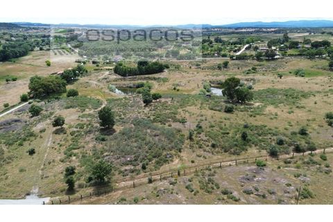 Helårsgrund i Castelo Branco, Castelo Branco, Castelo Branco - € 150.000 | Ref: 5556/EG - foto 10