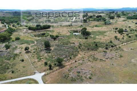 Helårsgrund i Castelo Branco, Castelo Branco, Castelo Branco - € 150.000 | Ref: 5556/EG - foto 11