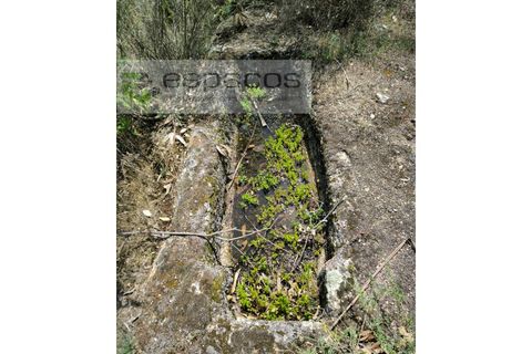 Helårsgrund i Castelo Branco, Castelo Branco, Castelo Branco - € 150.000 | Ref: 5556/EG - foto 12