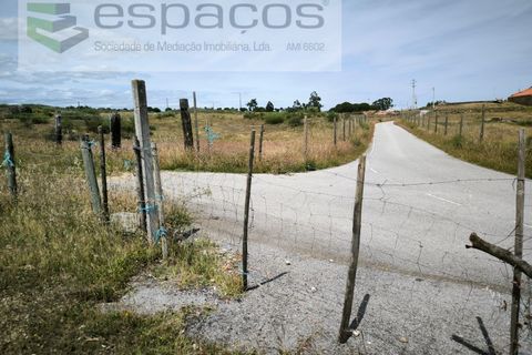 Helårsgrund i Castelo Branco, Castelo Branco, Castelo Branco - € 150.000 | Ref: 5556/EG - foto 13